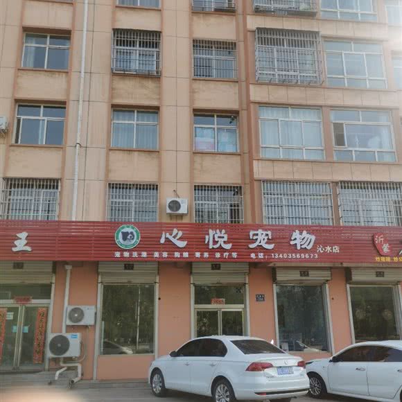 心悦宠物(沁水店):晋城市