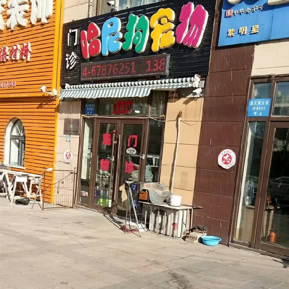 哈尼狗宠物门诊:沈阳市沈北新区正良附近
