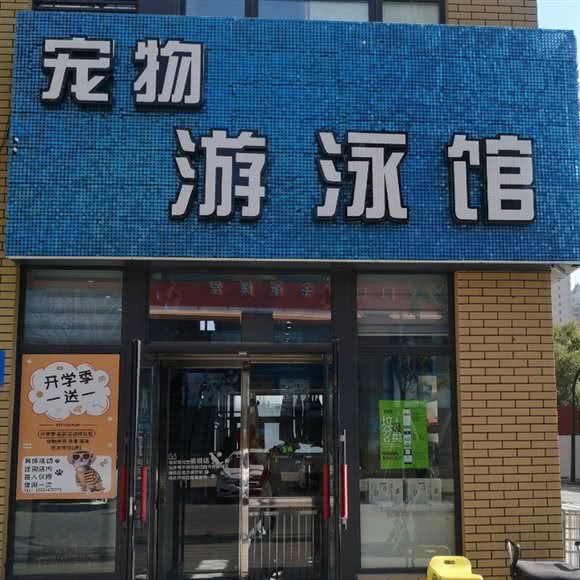 宠物游泳馆:沈阳市沈北新区沈阳师范大学附近