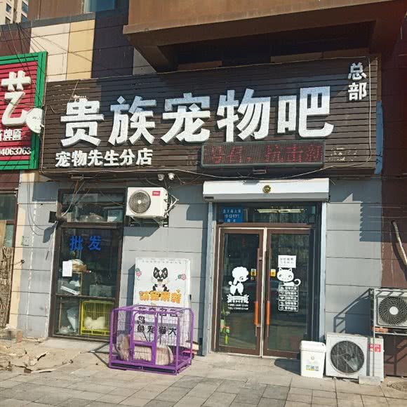 贵族宠物吧(城建美庭店):沈阳市沈北新区沈阳师范大学附近