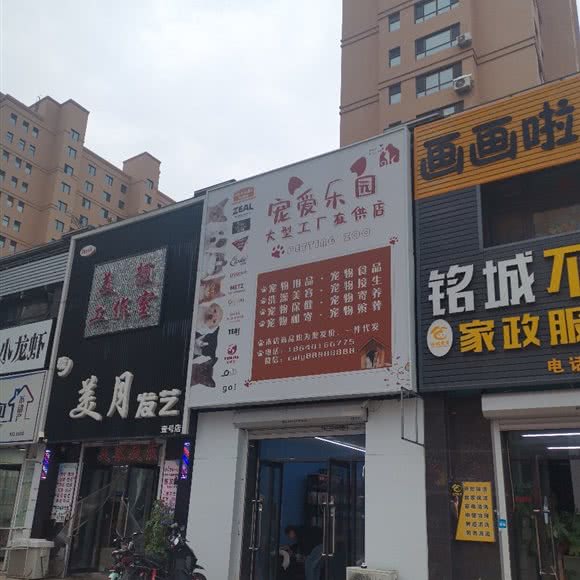 宠爱乐园:沈阳市沈北新区沈阳师范大学附近