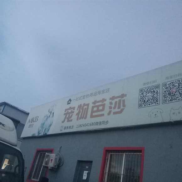 宠物芭莎淘宝店:沈阳市沈北新区沈阳师范大学附近