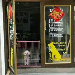 鑫海宠物:牡丹江市