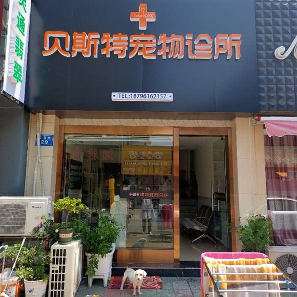 贝斯特宠物诊所:南通市