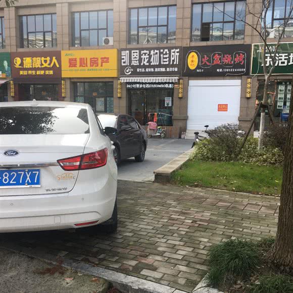 凯恩宠物诊所:南通市