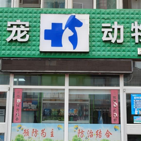 沈北好宠动物医院:沈阳市沈北新区新城子附近
