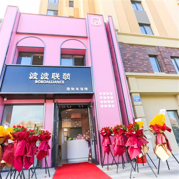 波波联萌宠物生活馆:沈阳市沈北新区道义附近