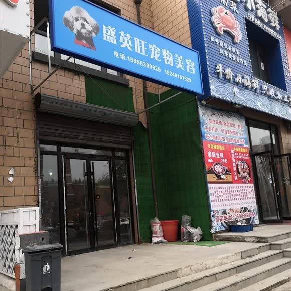 盛英旺宠物美容:沈阳市沈北新区道义附近