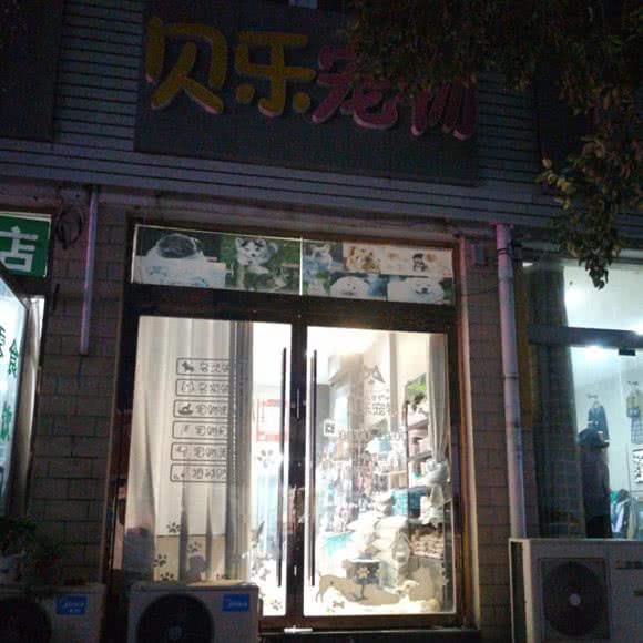 贝乐宠物:宿迁市