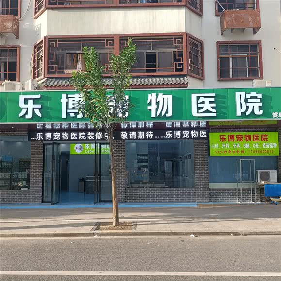 乐博宠物医院:金华市