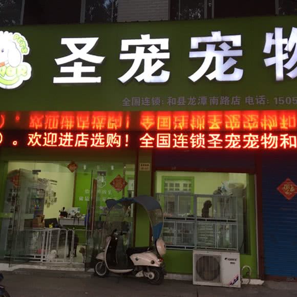 圣宠宠物(龙潭南路店):马鞍山市