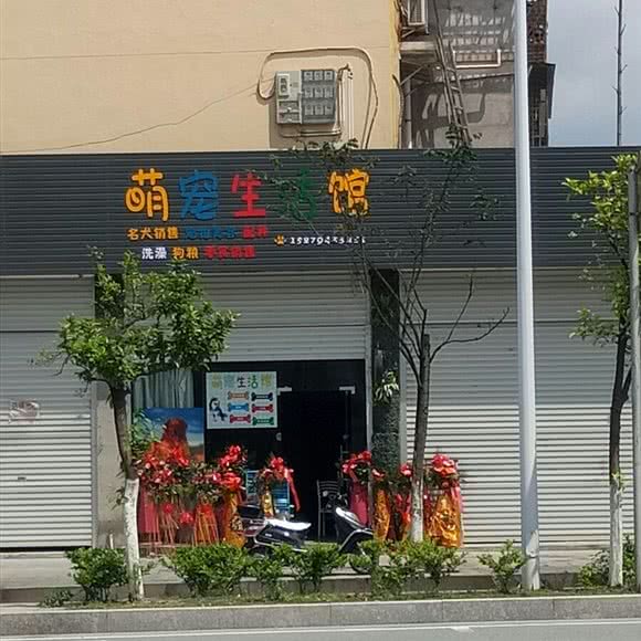 萌宠生活馆:抚州市