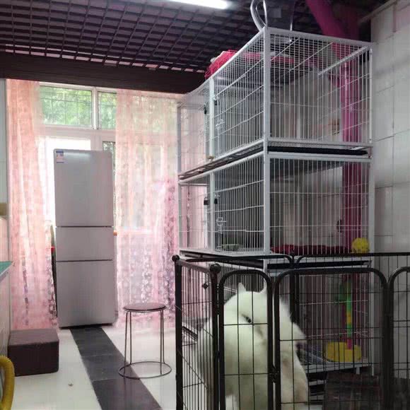 珍熙宠物:沈阳市于洪区于洪广场附近