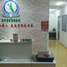 家旺宠物医院(于洪总院):沈阳市于洪区于洪广场附近