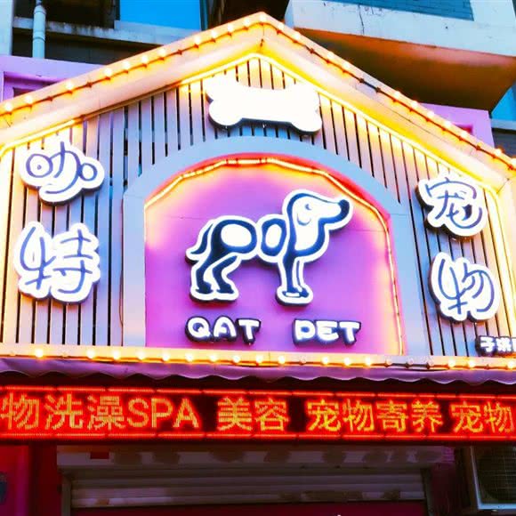 咖特宠物(于洪店):沈阳市于洪区于洪新城附近