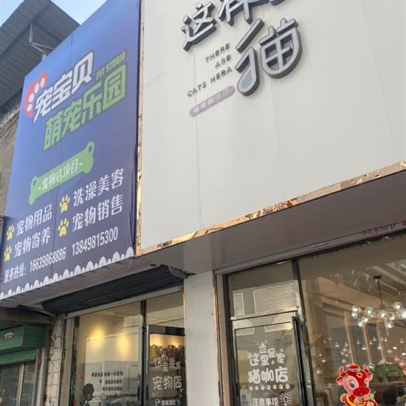 宠宝贝萌宠乐园:三门峡市