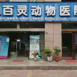 百灵动物医院:济源市