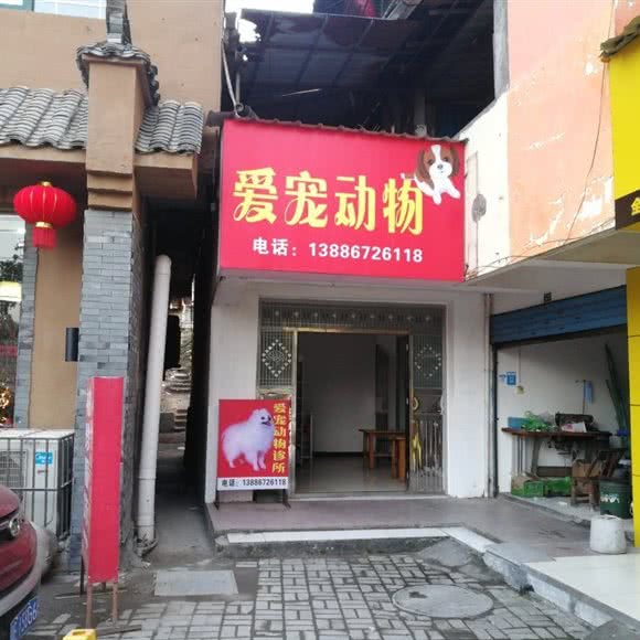 爱宠动物:宜昌市