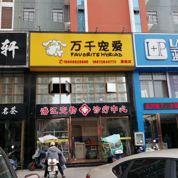潜江宠物诊疗中心:潜江市