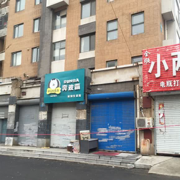 奔波霸宠物生活馆:沈阳市于洪区于洪新城附近