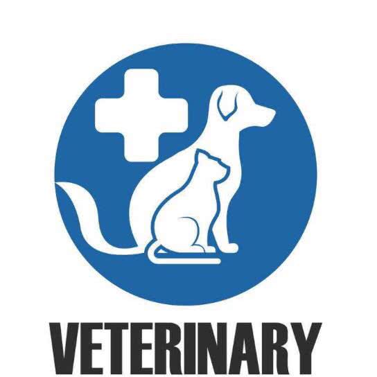 宠道宠物医疗中心:株洲市