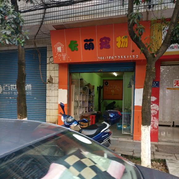 卡萌宠物:郴州市