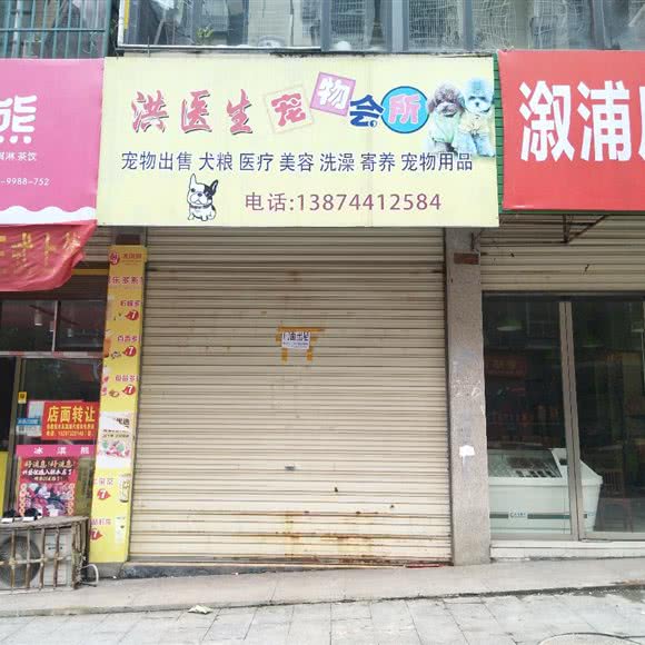 洪医生宠物会所:怀化市
