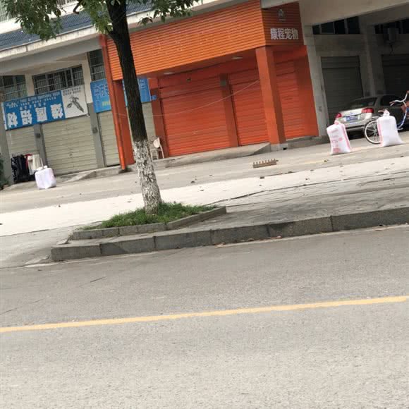 康程宠物:怀化市