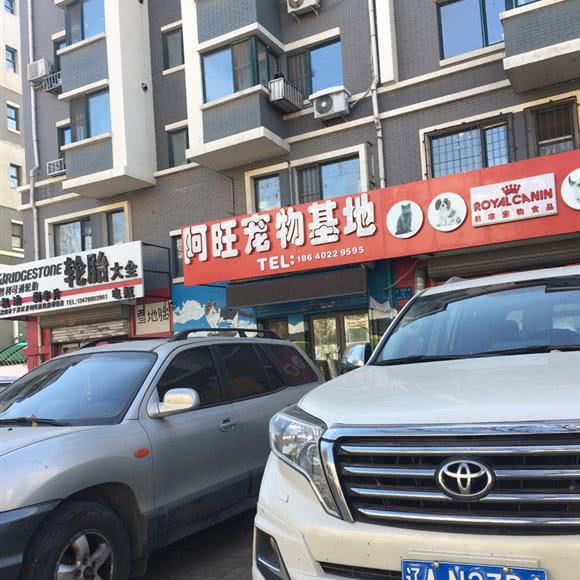 阿旺宠物会所:沈阳市于洪区于洪新城附近