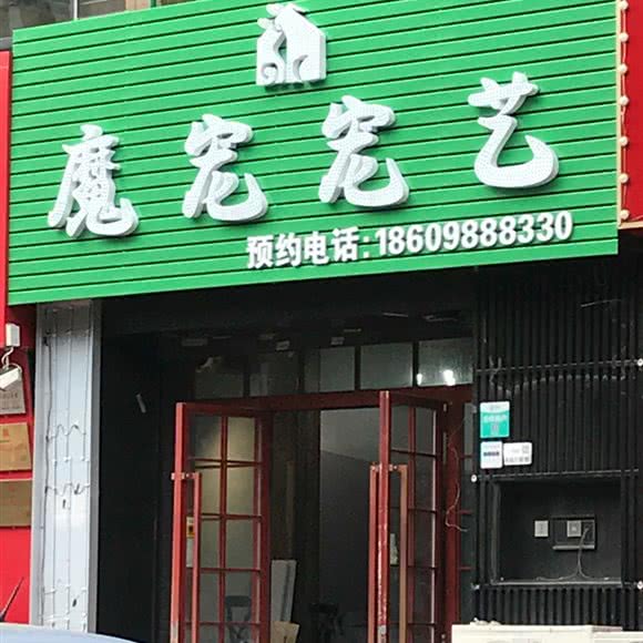 魔宠宠艺:沈阳市于洪区于洪新城附近