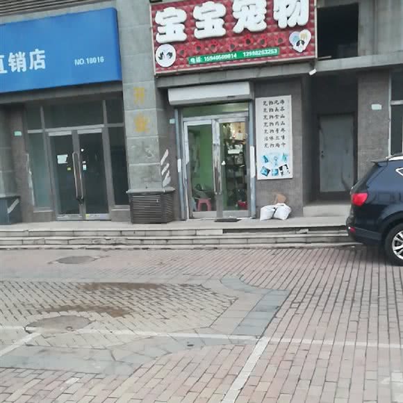 宝宝宠物:沈阳市于洪区于洪新城附近