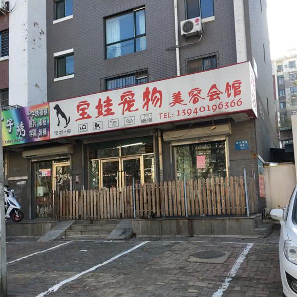 宝娃狗狗:沈阳市于洪区于洪新城附近