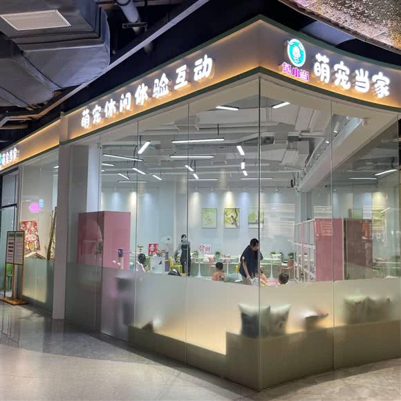 萌宠当家(万泰汇店):揭阳市