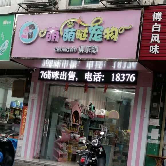 萌萌哒宠物狗:南宁市
