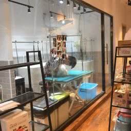 小样宠物:沈阳市于洪区于洪新城附近