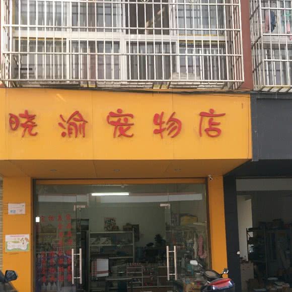 晓渝宠物店:桂林市