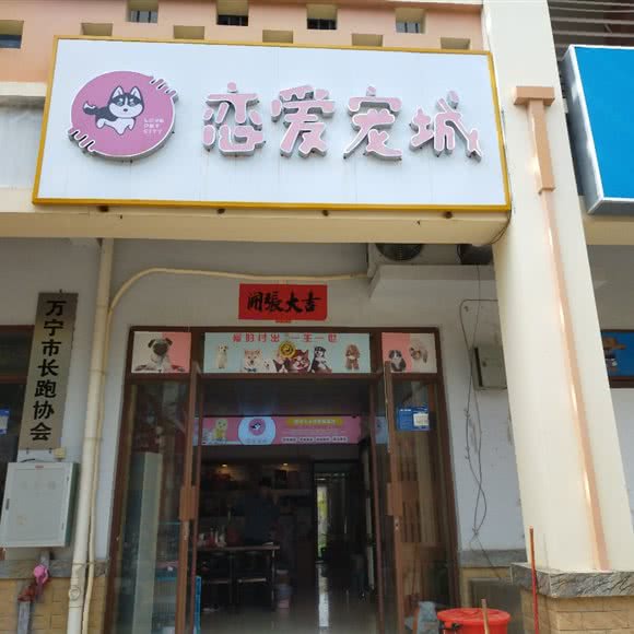 恋爱宠城:万宁市