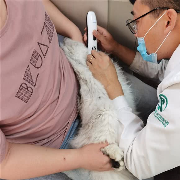 玉康动物医院:沈阳市于洪区于洪新城附近