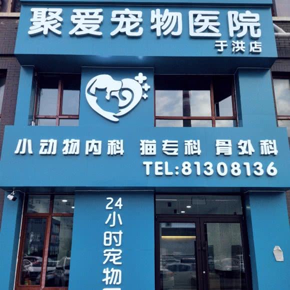 聚爱宠物医院:沈阳市于洪区于洪新城附近