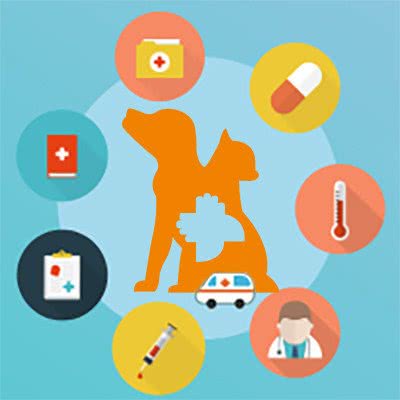 派美特宠物医院(银河城店):沈阳市于洪区于洪新城附近