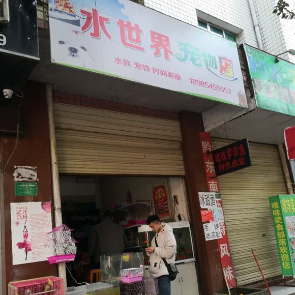 水世界宠物店:黔东南苗族侗族自治州