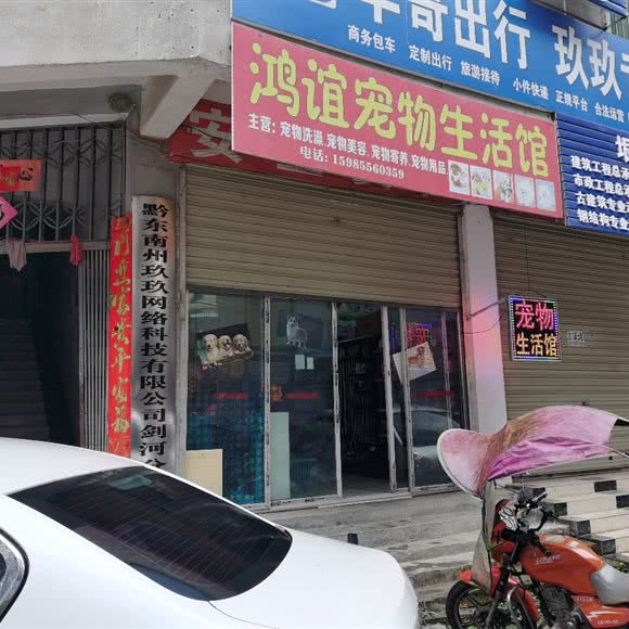 鸿谊宠物生活馆:黔东南苗族侗族自治州