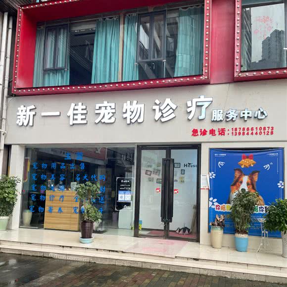 新一佳宠物乐园:黔南布依族苗族自治州