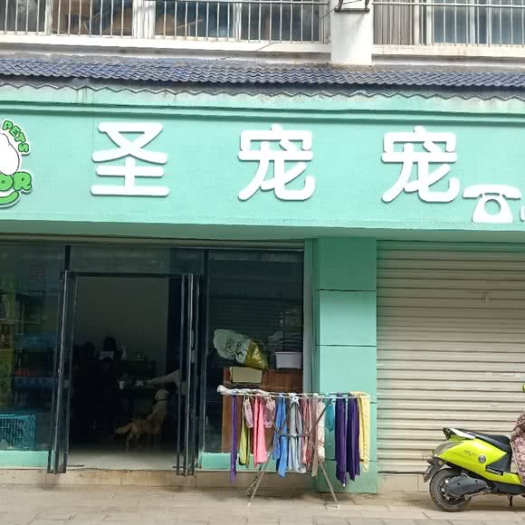 圣宠宠物:曲靖市