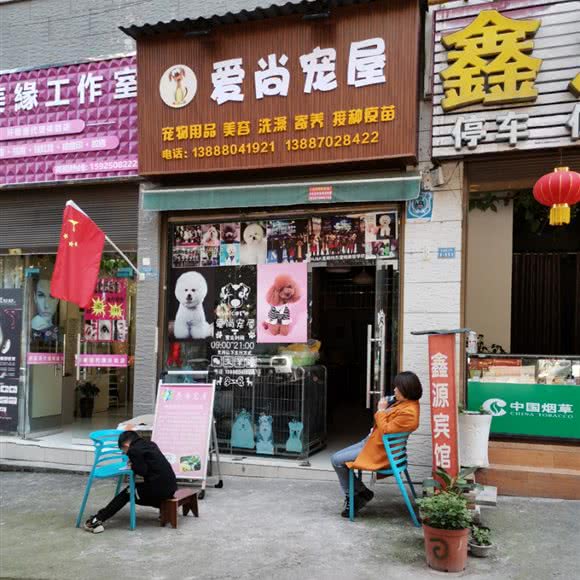 爱尚宠屋:昭通市