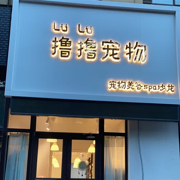 撸撸宠物:沈阳市于洪区荷兰村附近