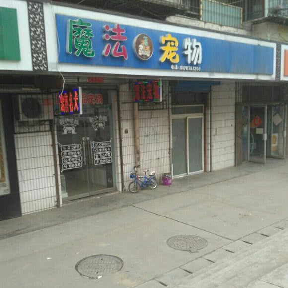 魔法宠物(太白路店):宝鸡市