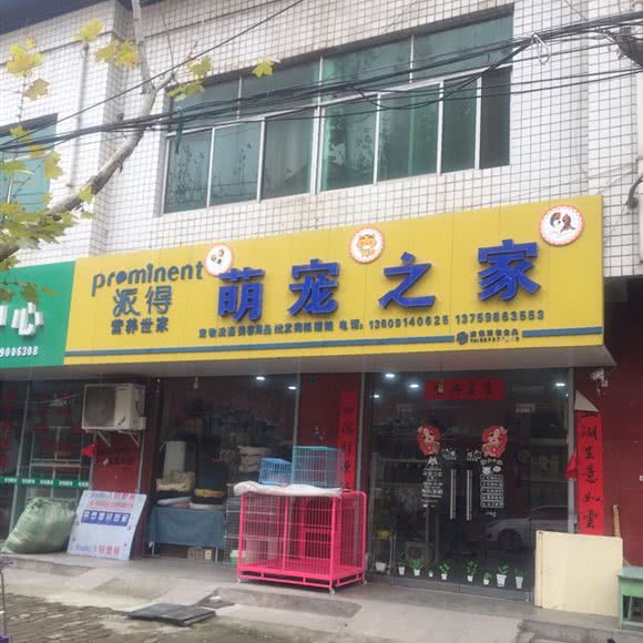 派得营养世家萌宠之家:咸阳市