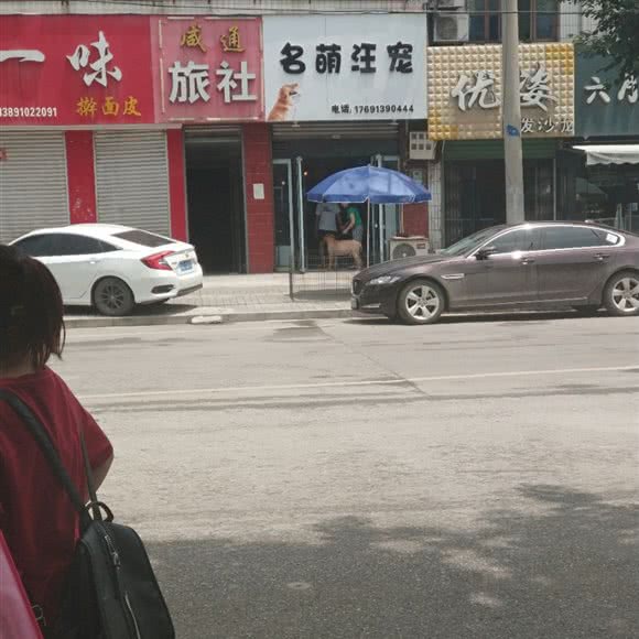 名萌汪宠:咸阳市