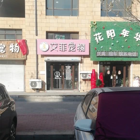 艾菲宠物:沈阳市于洪区荷兰村附近